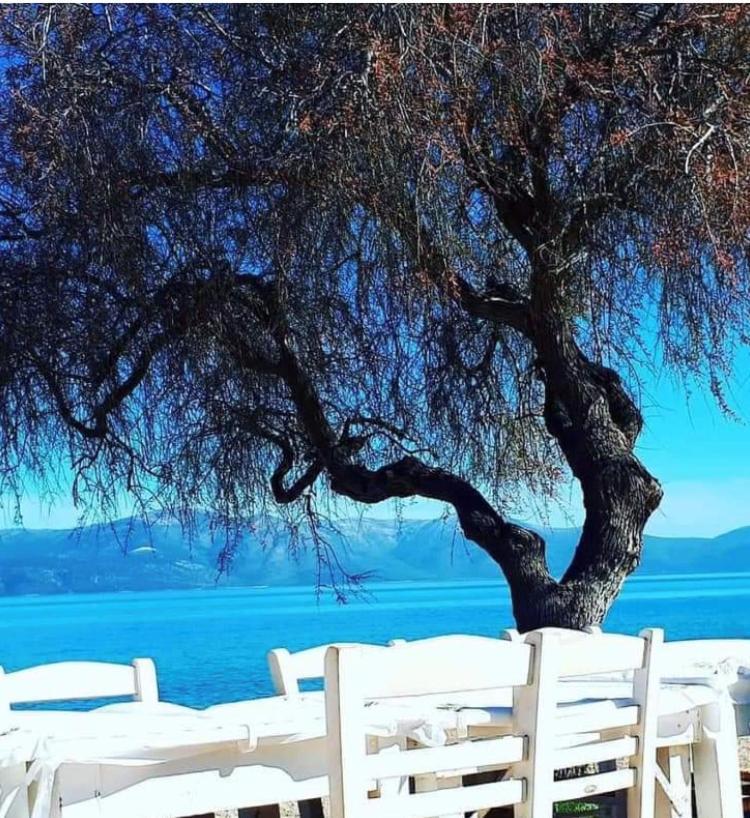 Eratous Seaside House Vila Agii Dimitrios ke Panteleimon Exterior foto